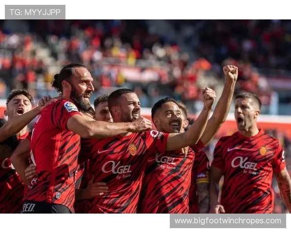 马洛卡整体实力表现稳健，当前赛季竞争力增强