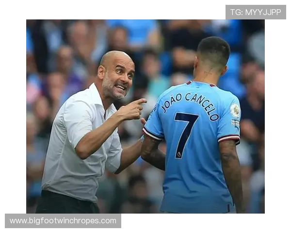 坎塞洛防守能力