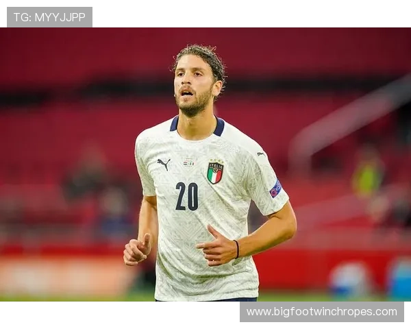 洛卡特利控场能力