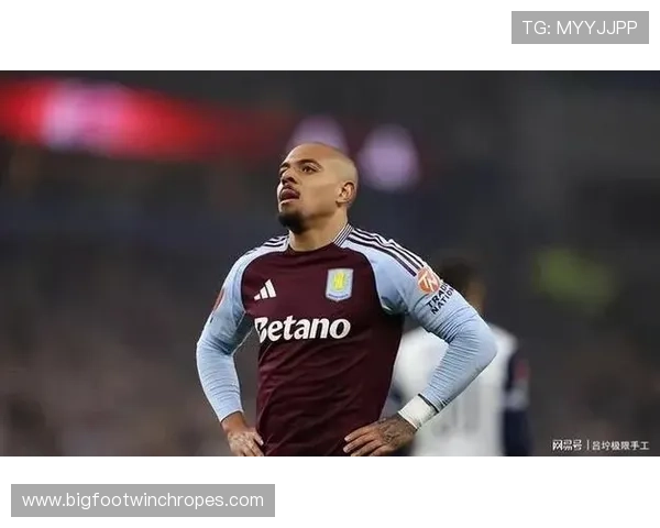 马伦战术适配性