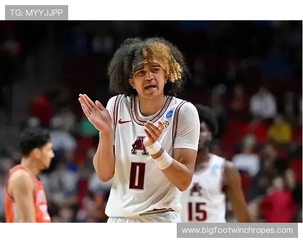 安东尼技术全面性