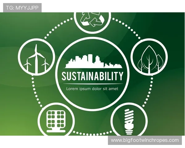 厄德高进球与组织双核心的数据价值解析