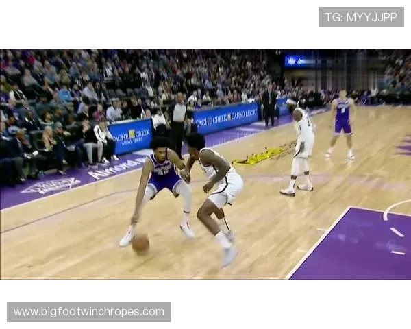 帕利尼亚与罗德里：防守型与控场型后腰对比分析