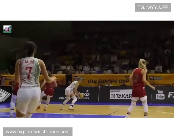 国际篮联与NBA干扰球规则对比