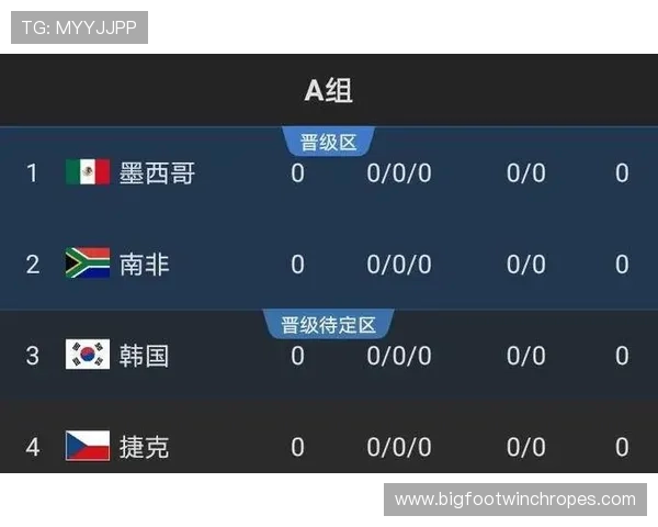 伊朗队2026世界杯赛程前瞻:出线形势与小组对手分析 伊朗队2026世界杯赛程前瞻:出线形势与小组对手分析